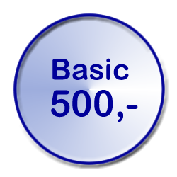 Video Basic um 500 Euro